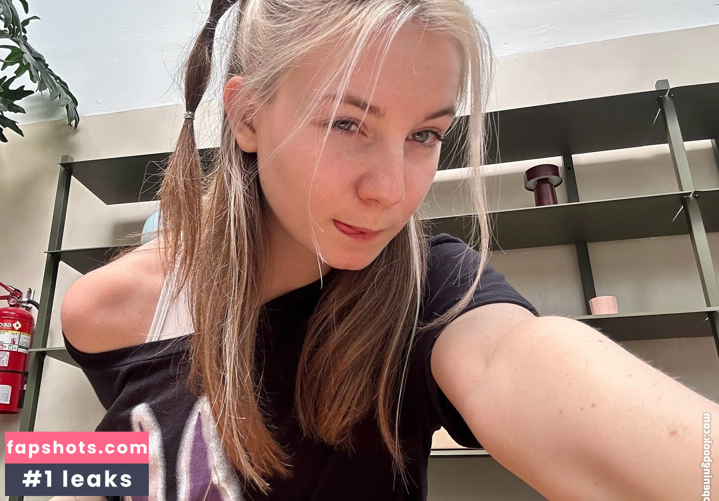 DevDasha gallery photo #8