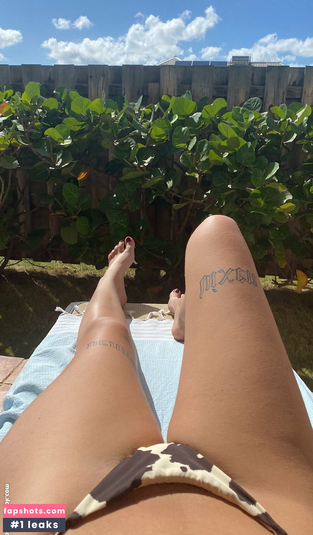 developingblue gallery photo #7