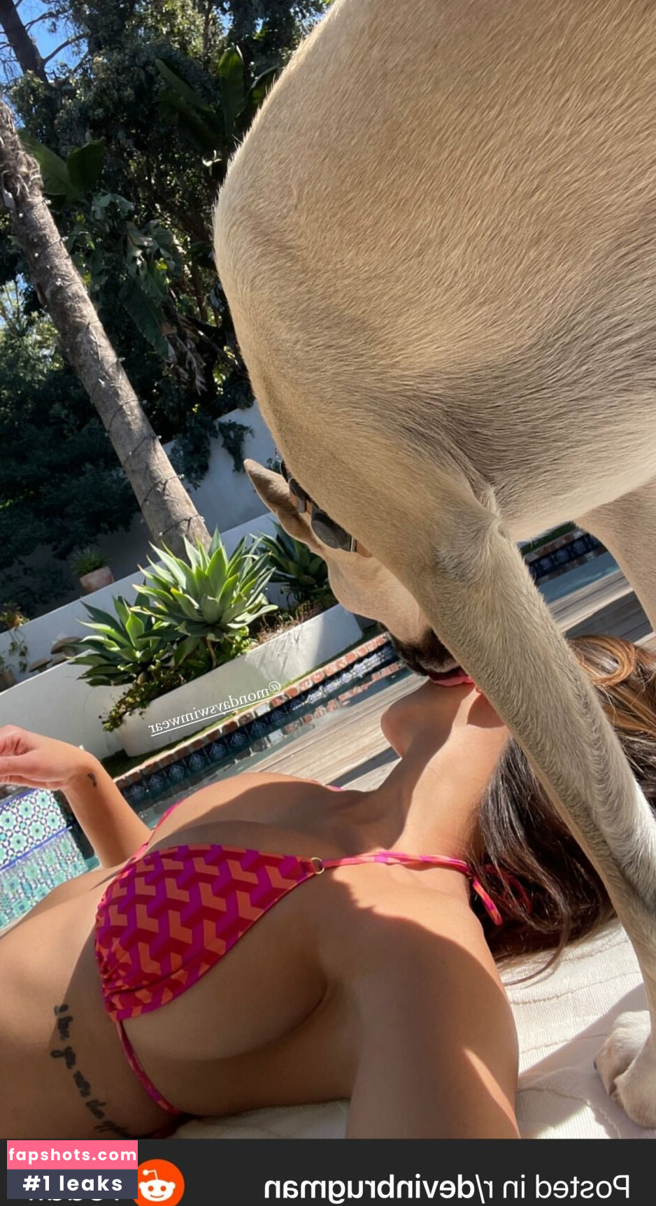 Devin Brugman Nahé úniky fotek pouze od fanoušků #170 - Fapshots