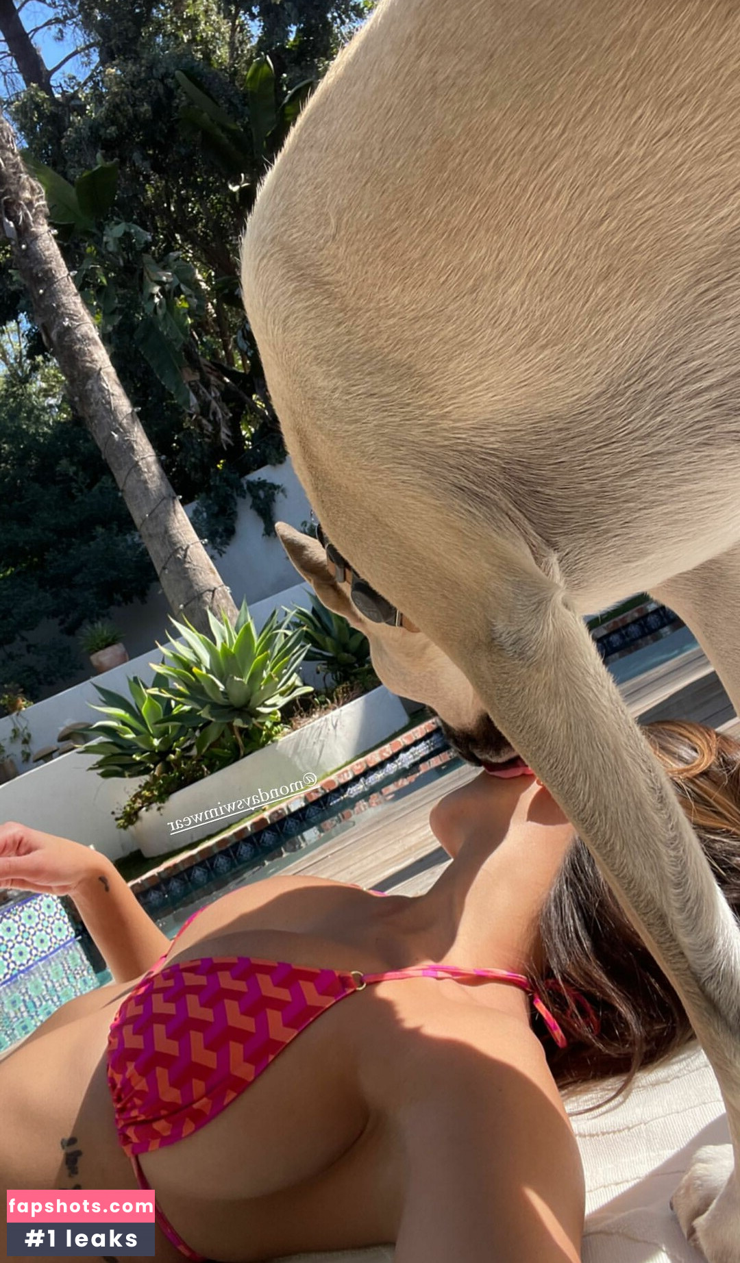 Devin Brugman Nahé úniky fotek pouze od fanoušků #185 - Fapshots