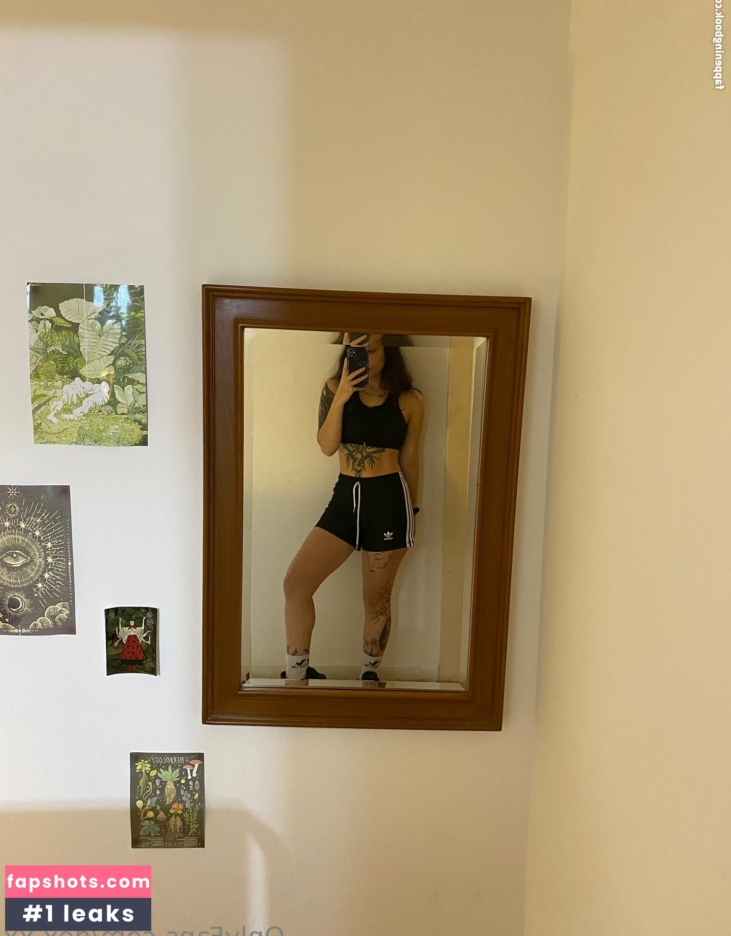 dex.xx gallery photo #6