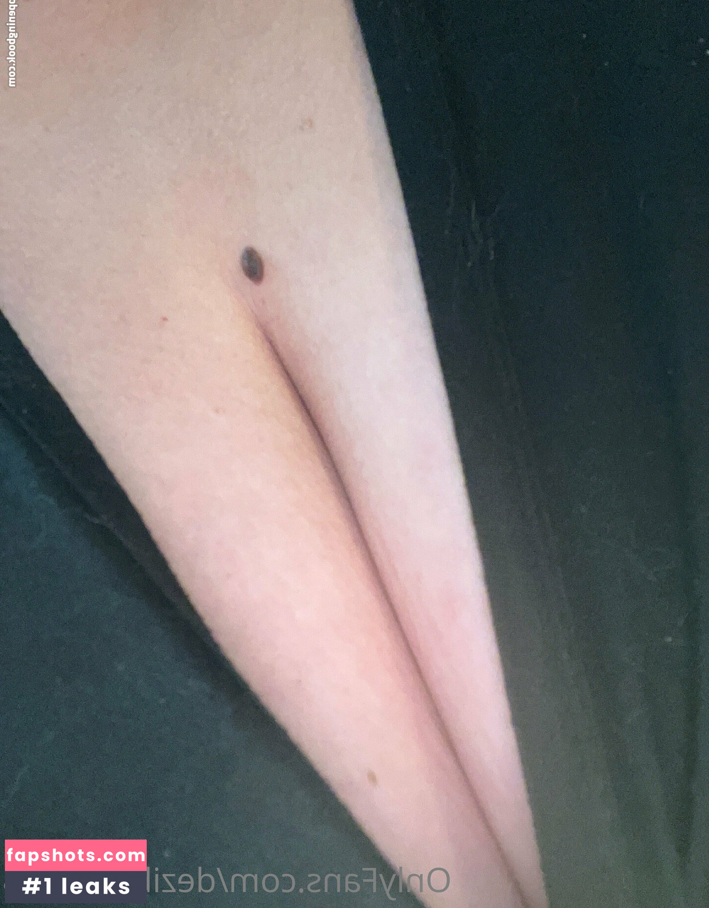 dezibear1998 gallery photo #11