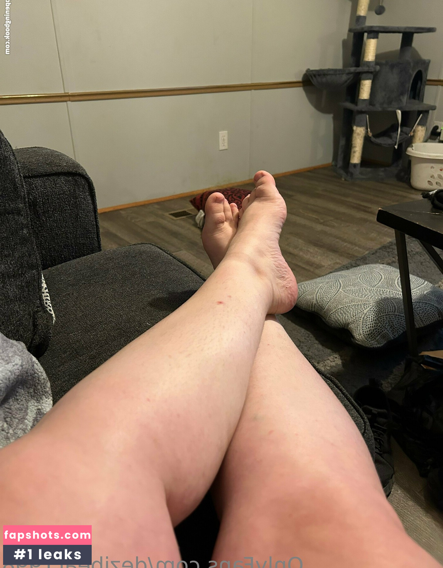 dezibear1998 gallery photo #14