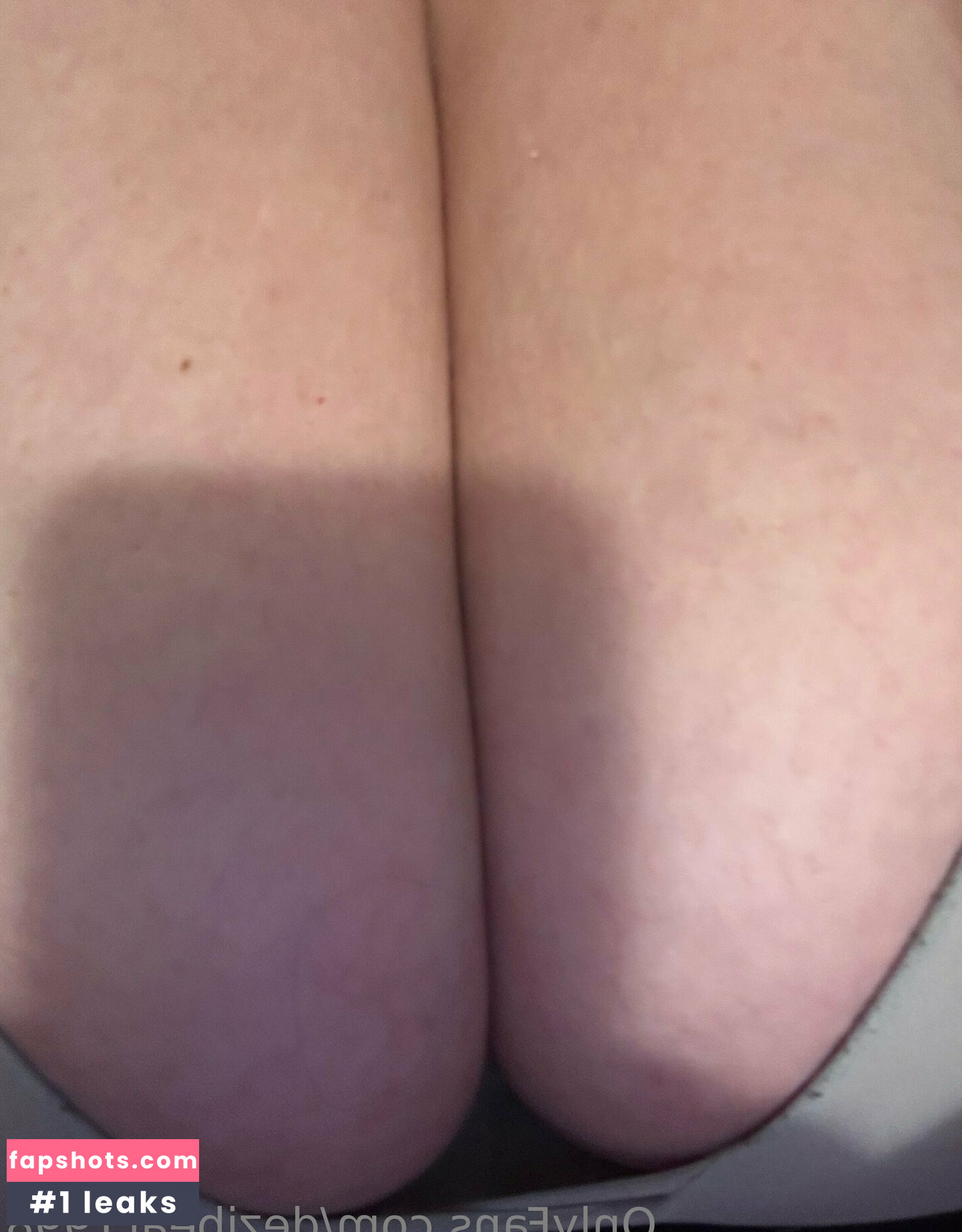 dezibear1998 gallery photo #15