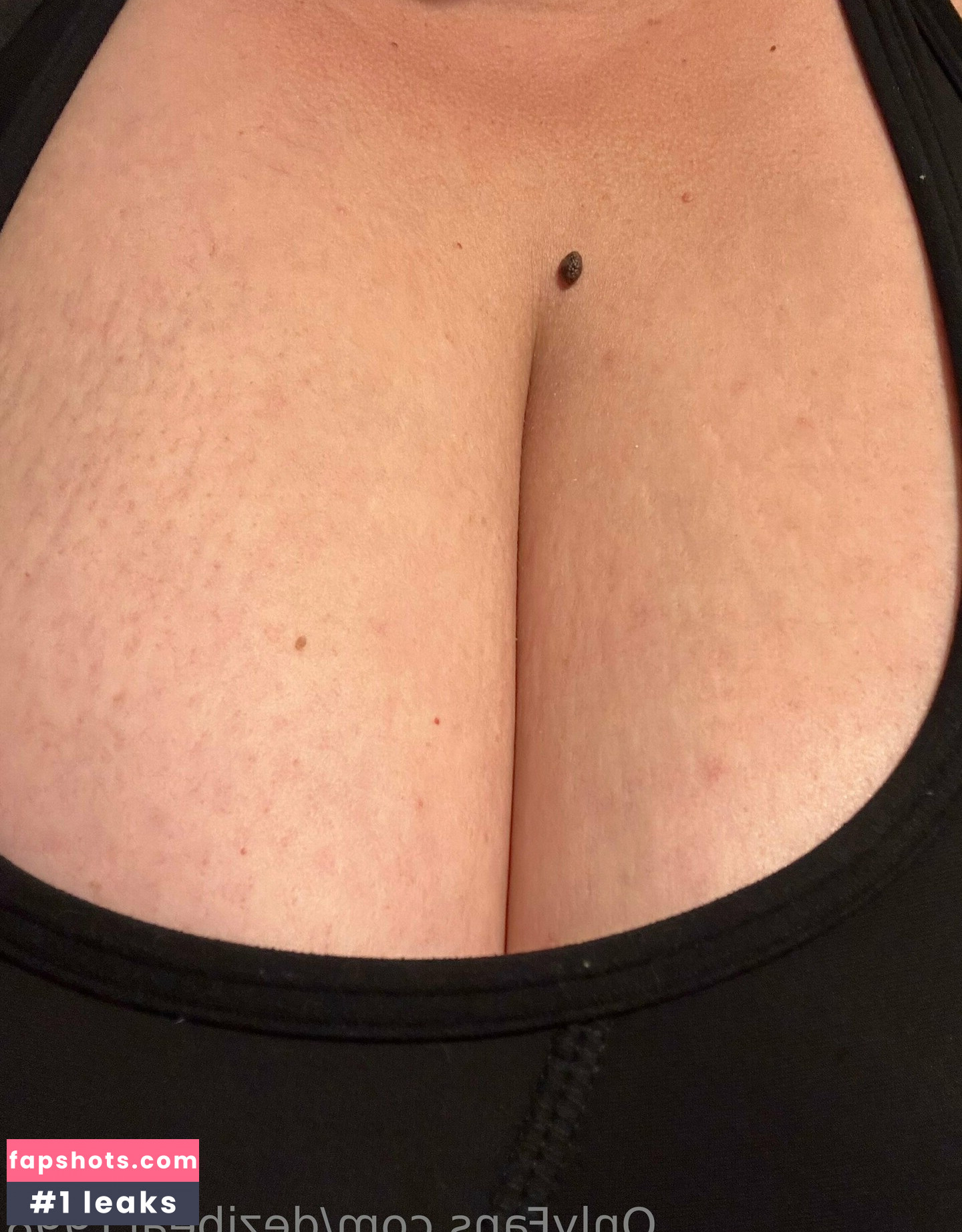 dezibear1998 gallery photo #3