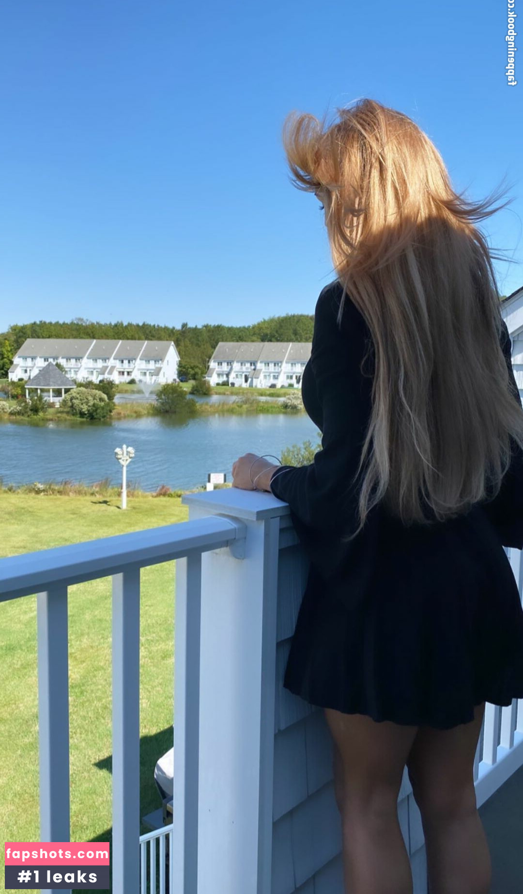 Dezmin Schubel gallery photo #20