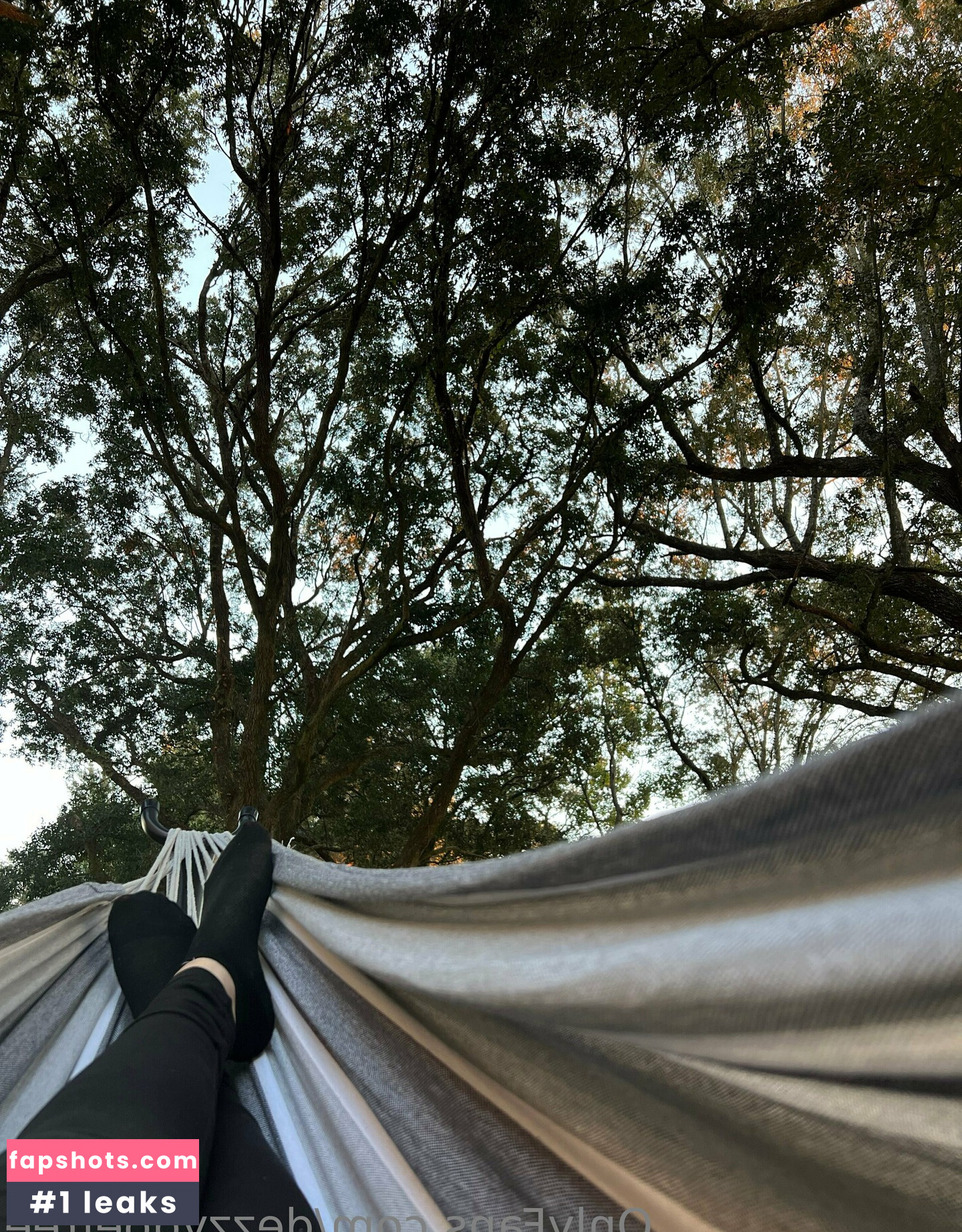 dezzydoefree gallery photo #11