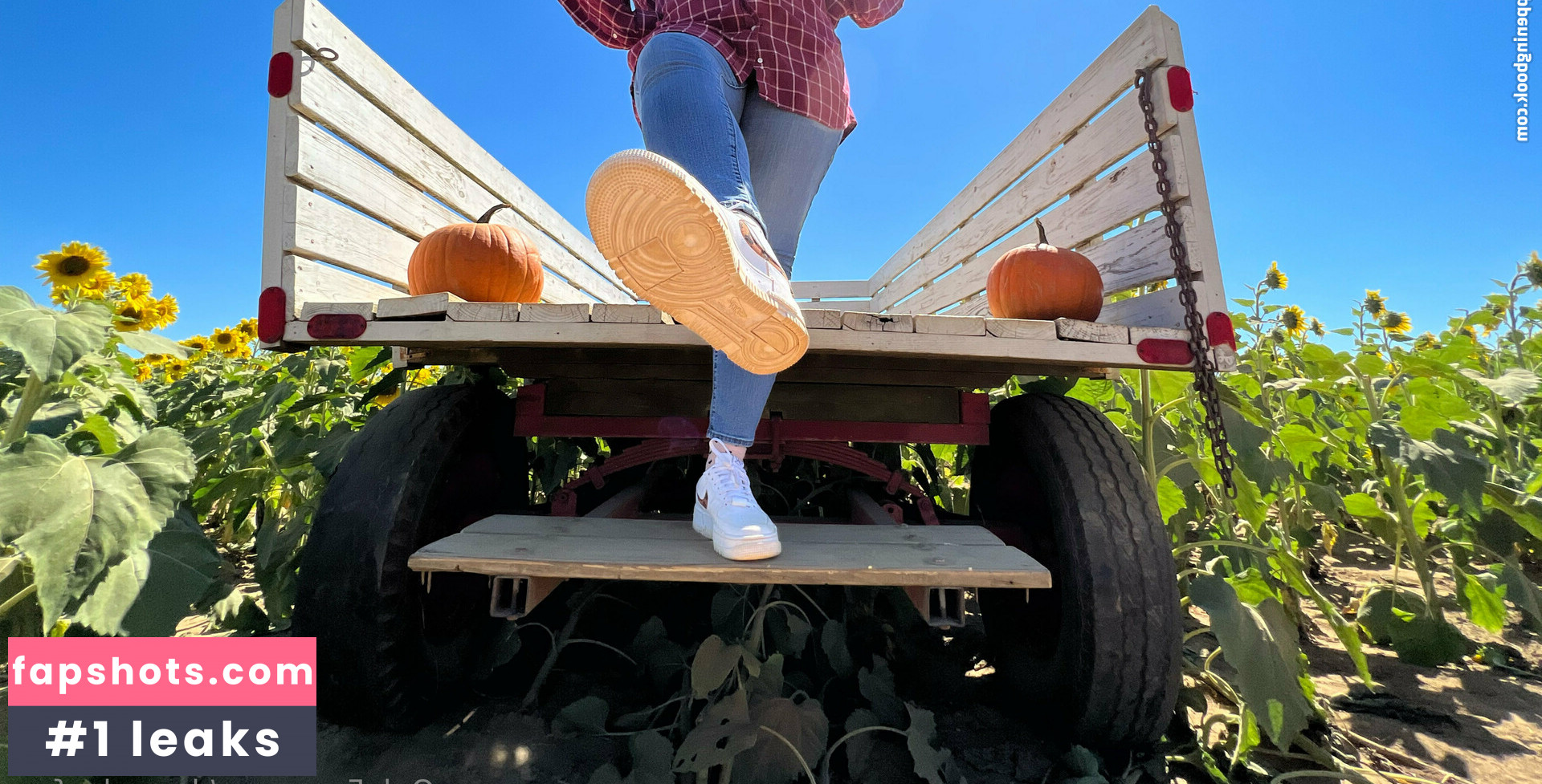 dezzydoefree gallery photo #28