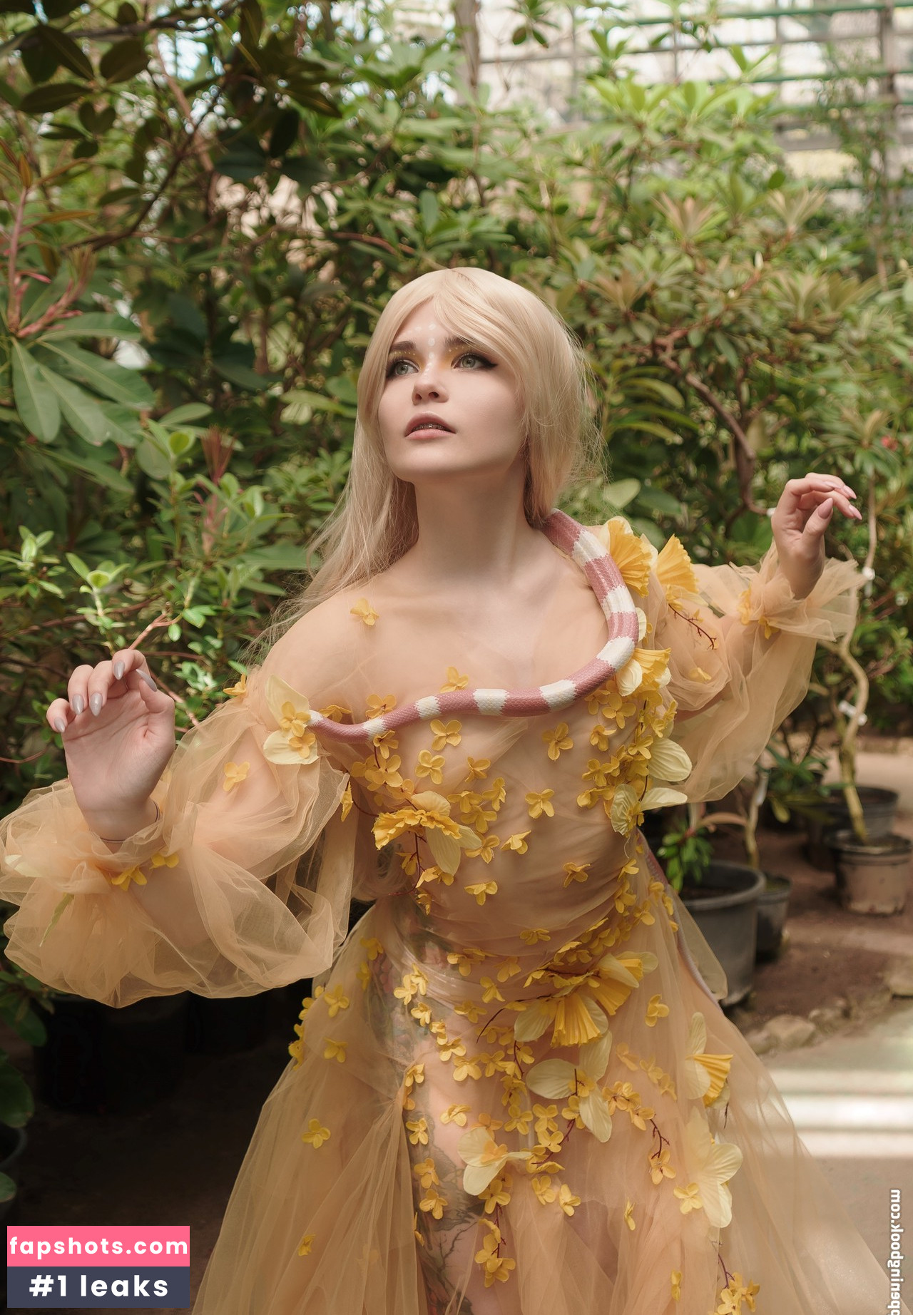 Di Simon gallery photo #16