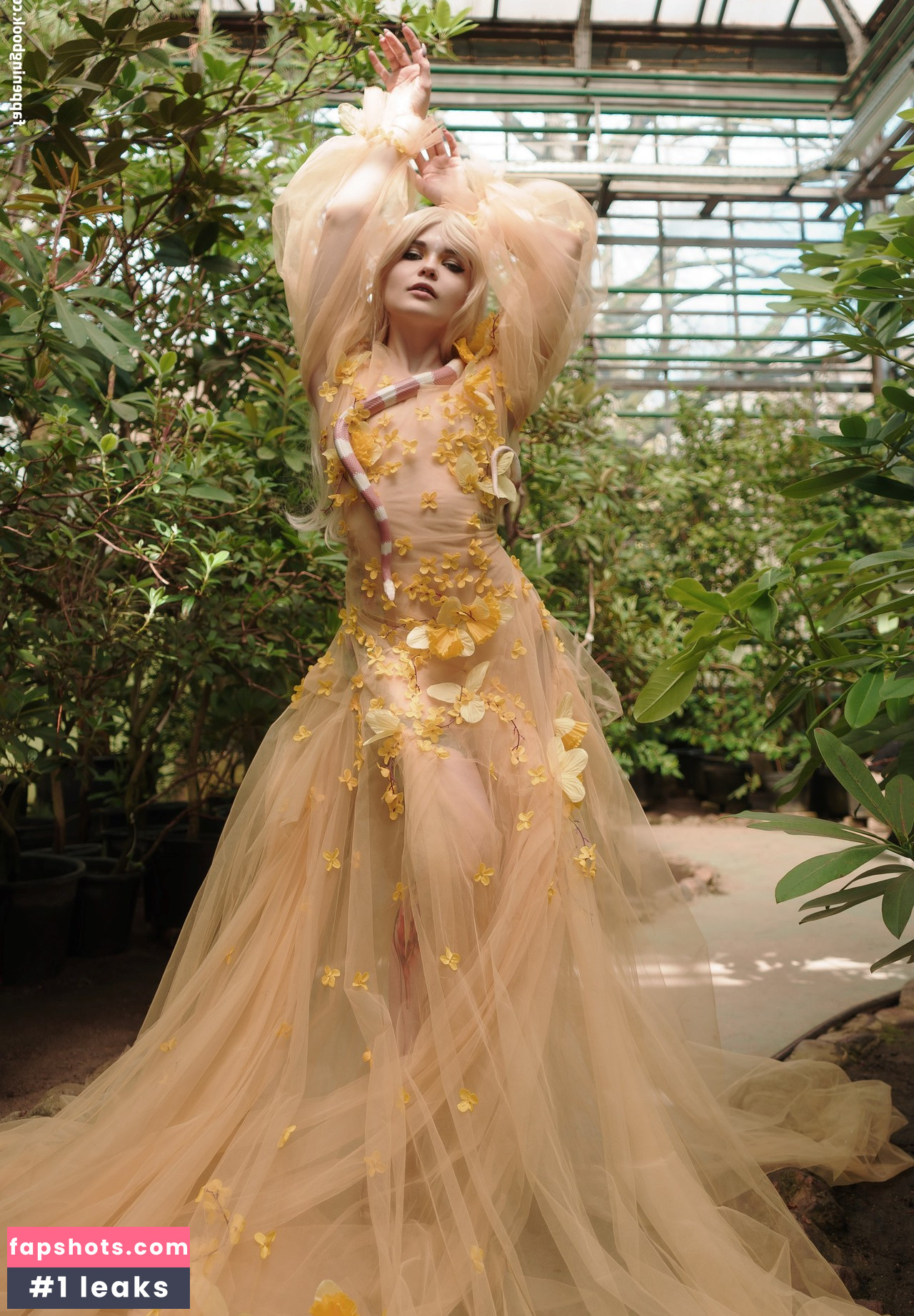 Di Simon gallery photo #17