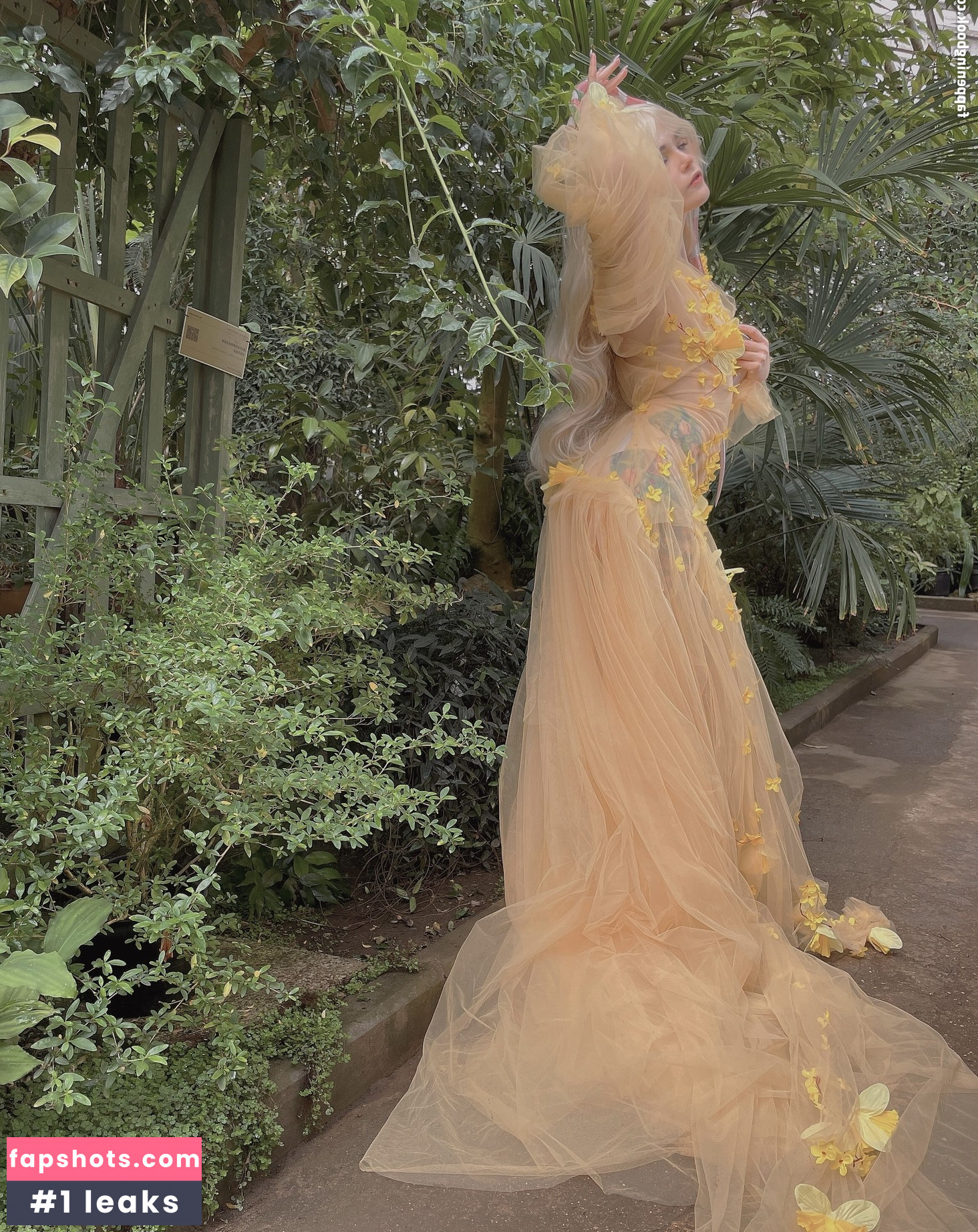 Di Simon gallery photo #19