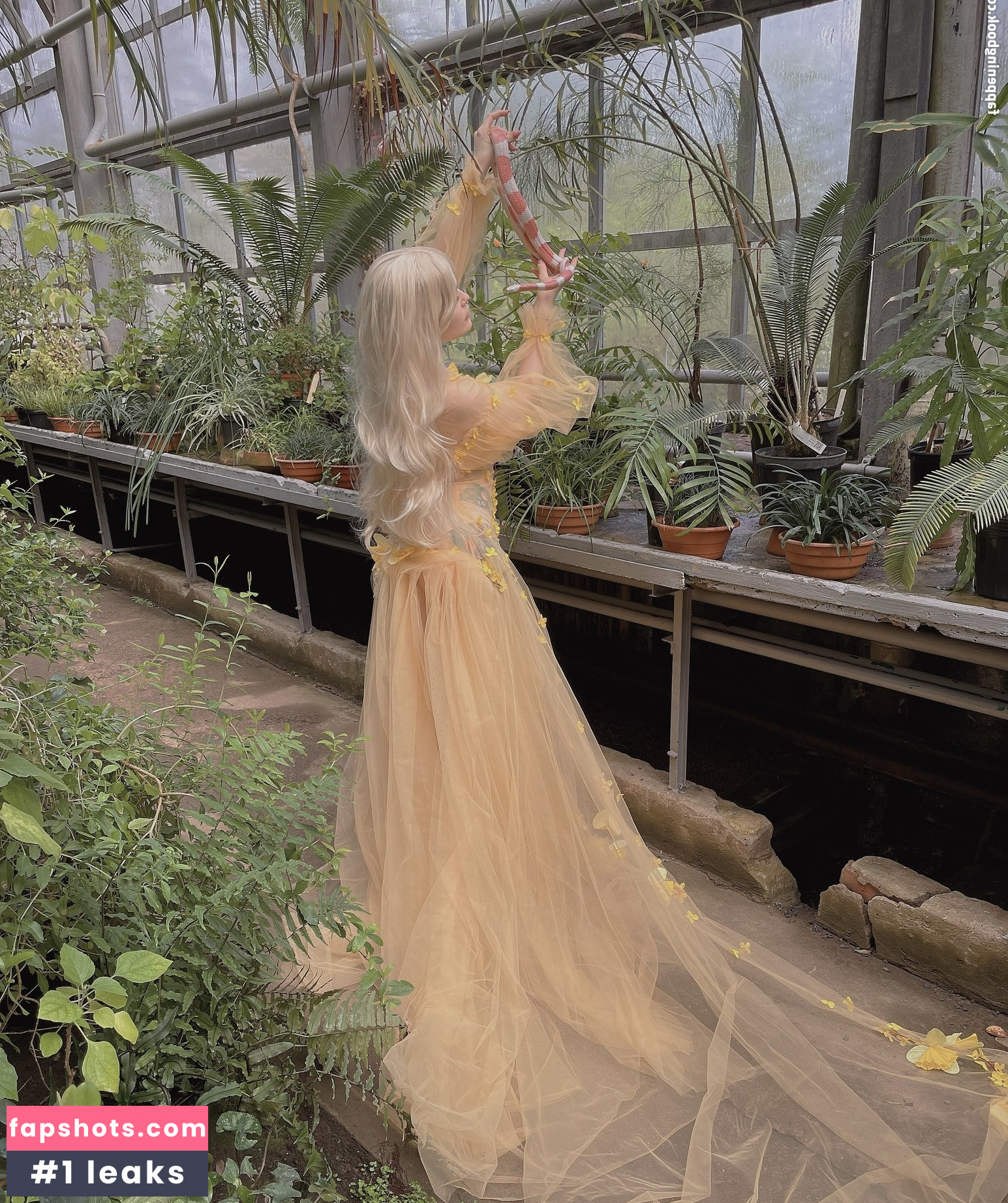 Di Simon gallery photo #28