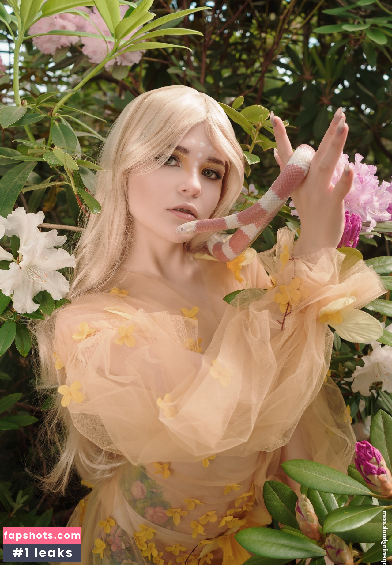 Di Simon gallery photo #29