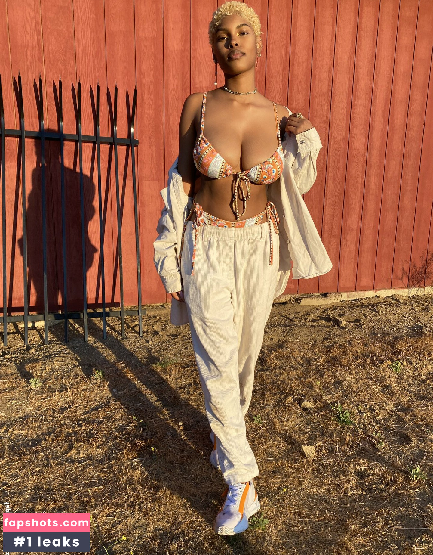 Diamond White gallery photo #4