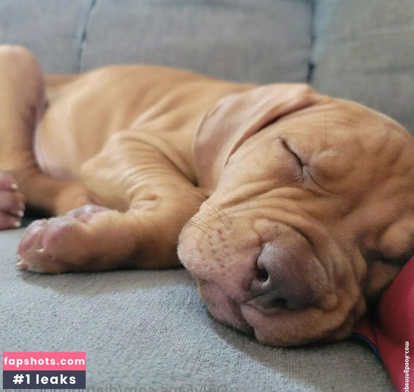 diamondortega gallery photo #7