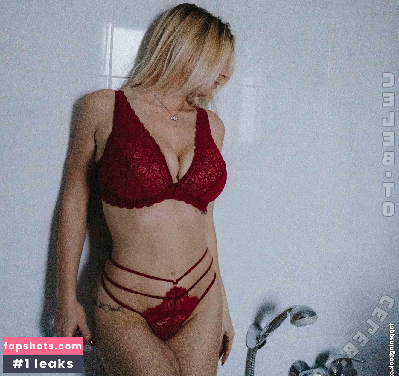 Diana DiMeo gallery photo #2