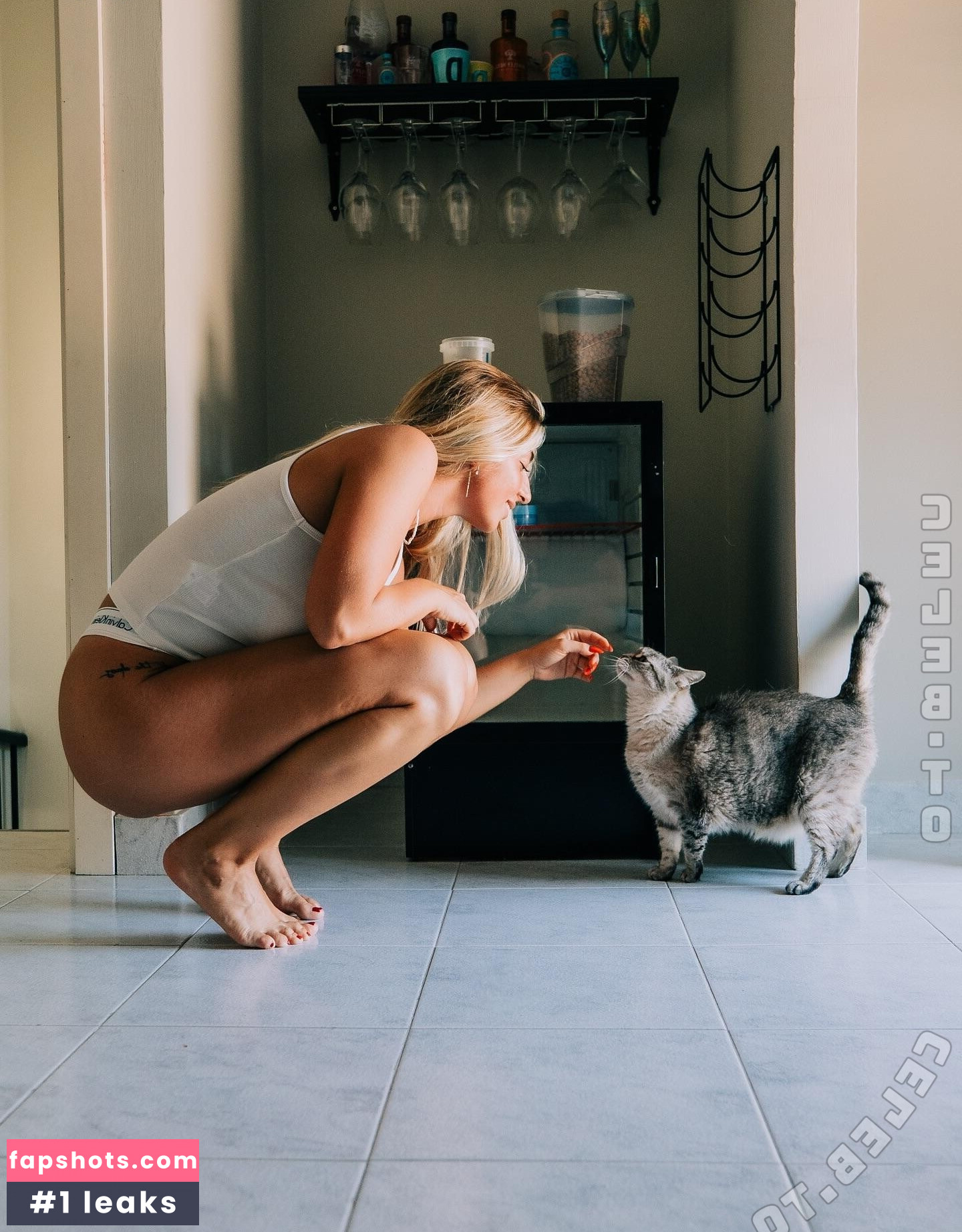 Diana DiMeo gallery photo #5