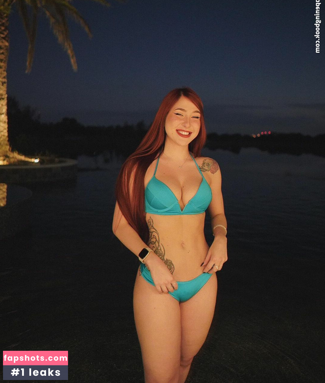 Diana Zambrozuski gallery photo #26