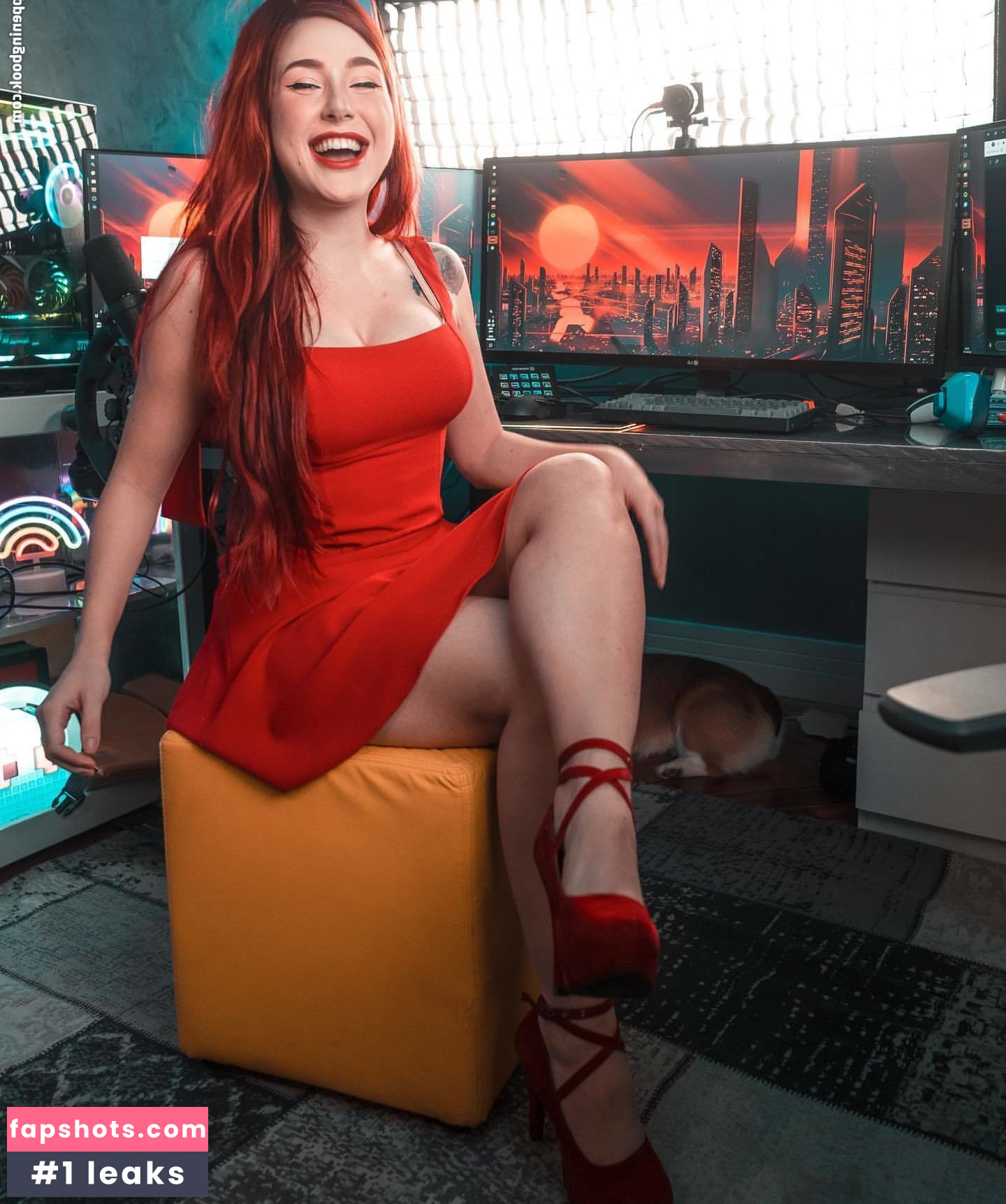 Diana Zambrozuski gallery photo #53