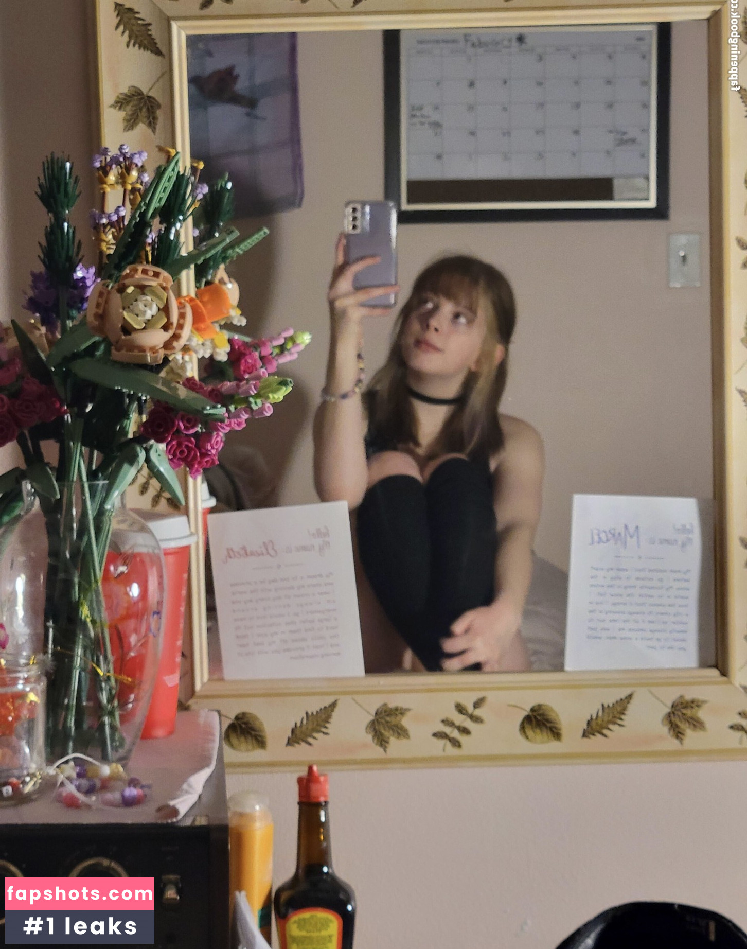 Dianalikesclowns Nude Leaks OnlyFans Photos #24 - LeakJerk