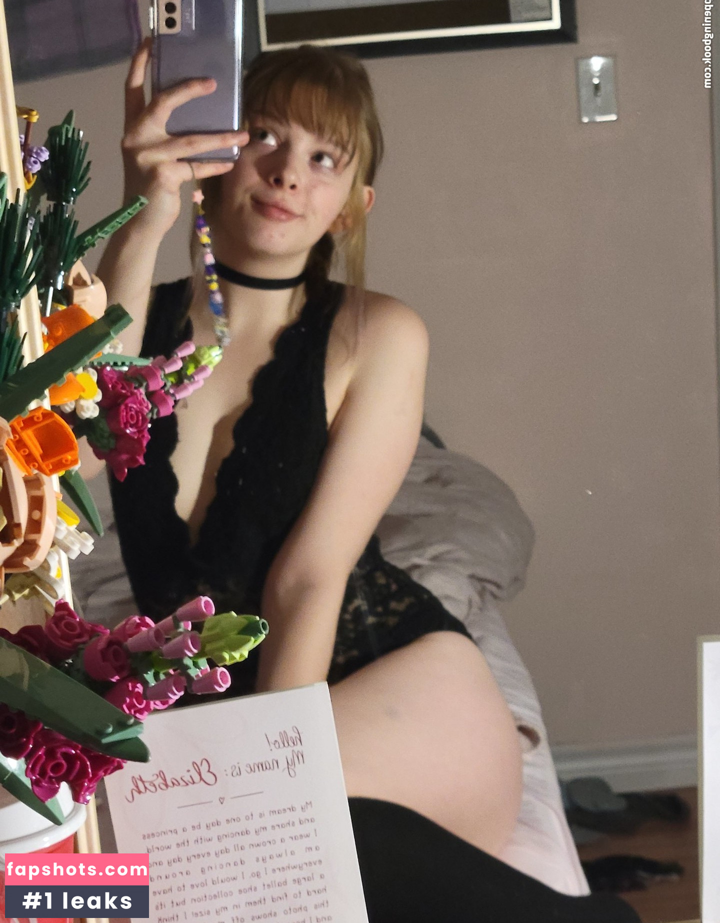 Dianalikesclowns Nude Leaks OnlyFans Photos #27 - LeakJerk