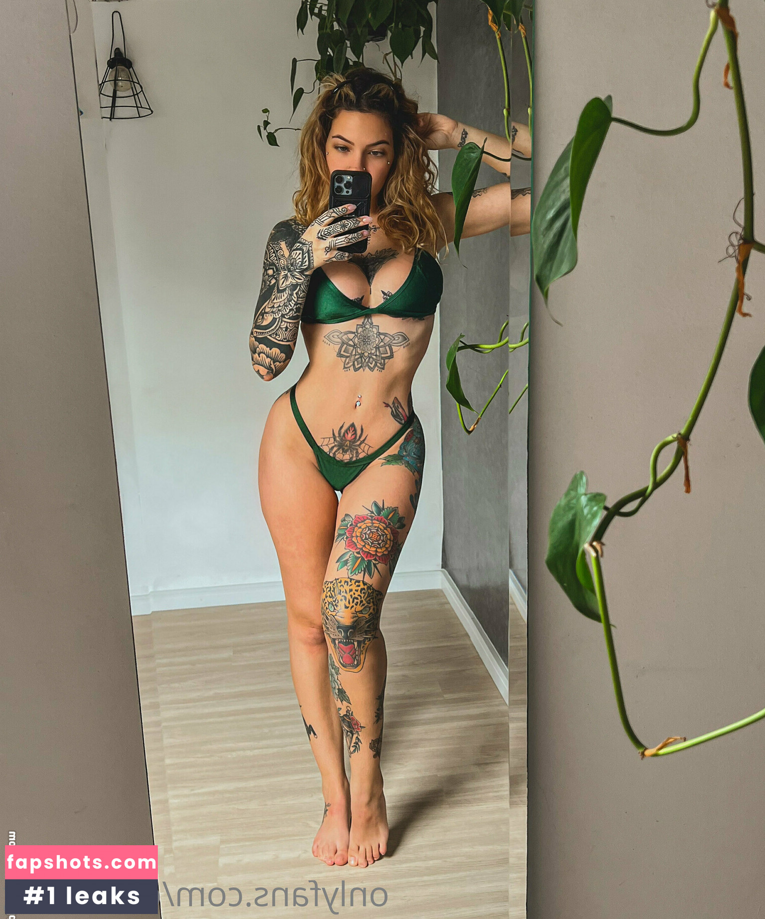 diandracox gallery photo #25