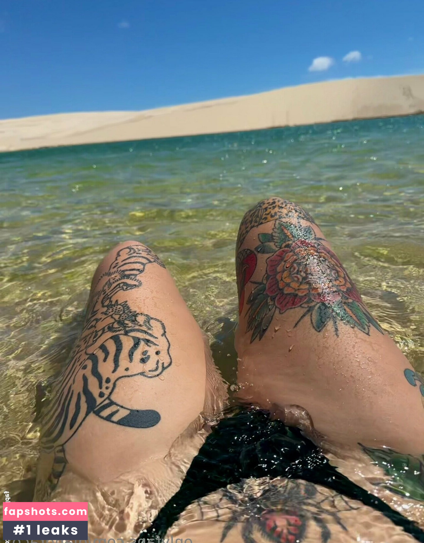 diandracox gallery photo #35