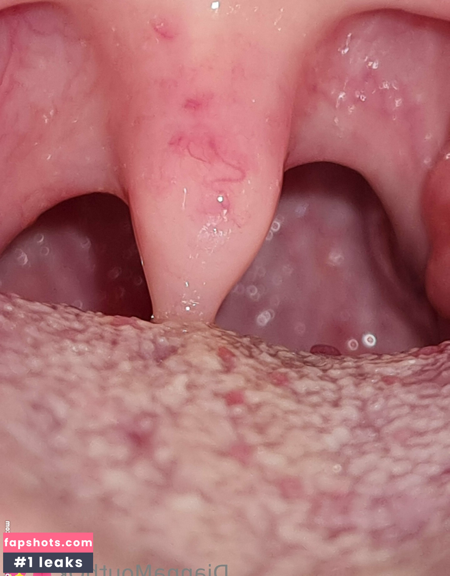 diannamoore gallery photo #13