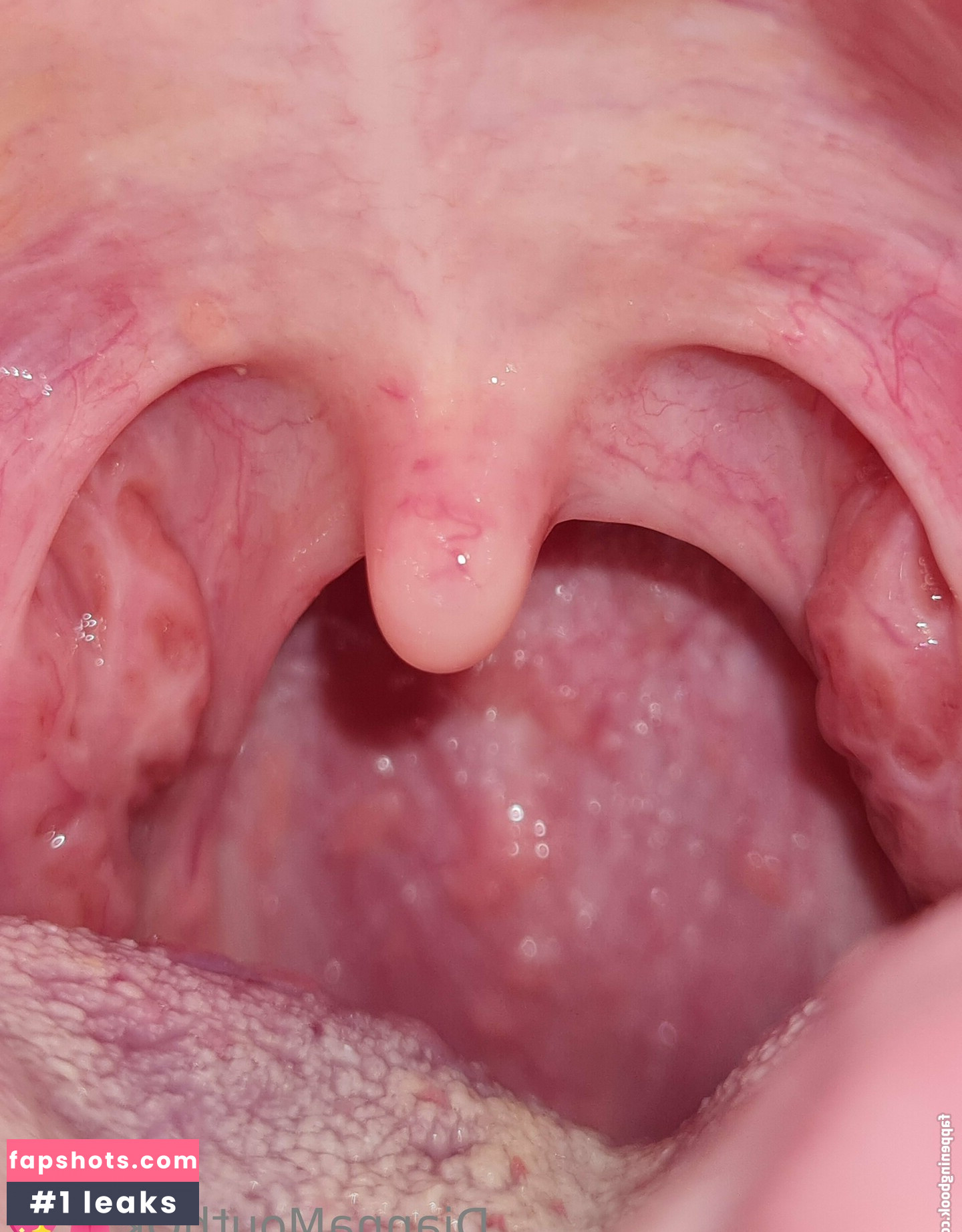 diannamoore gallery photo #18