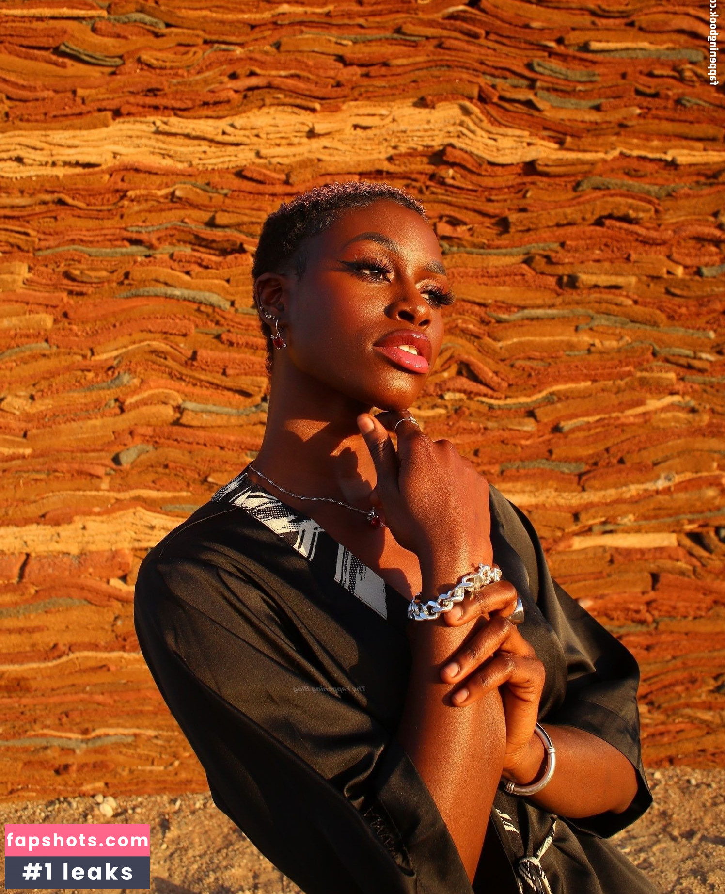 Diarra Sylla gallery photo #10