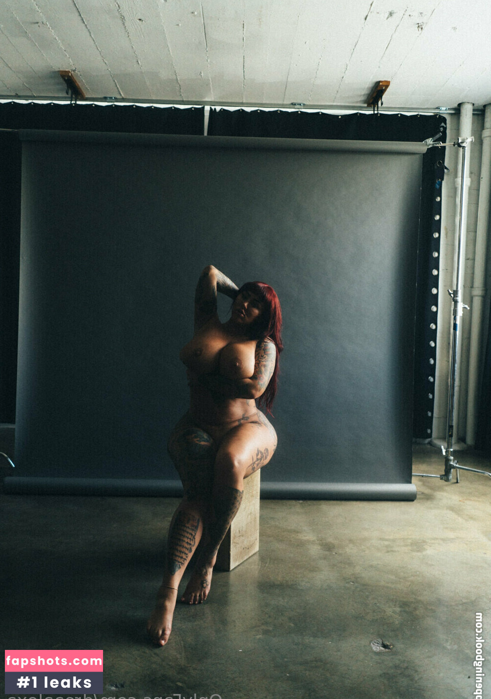 DICKtator gallery photo #14