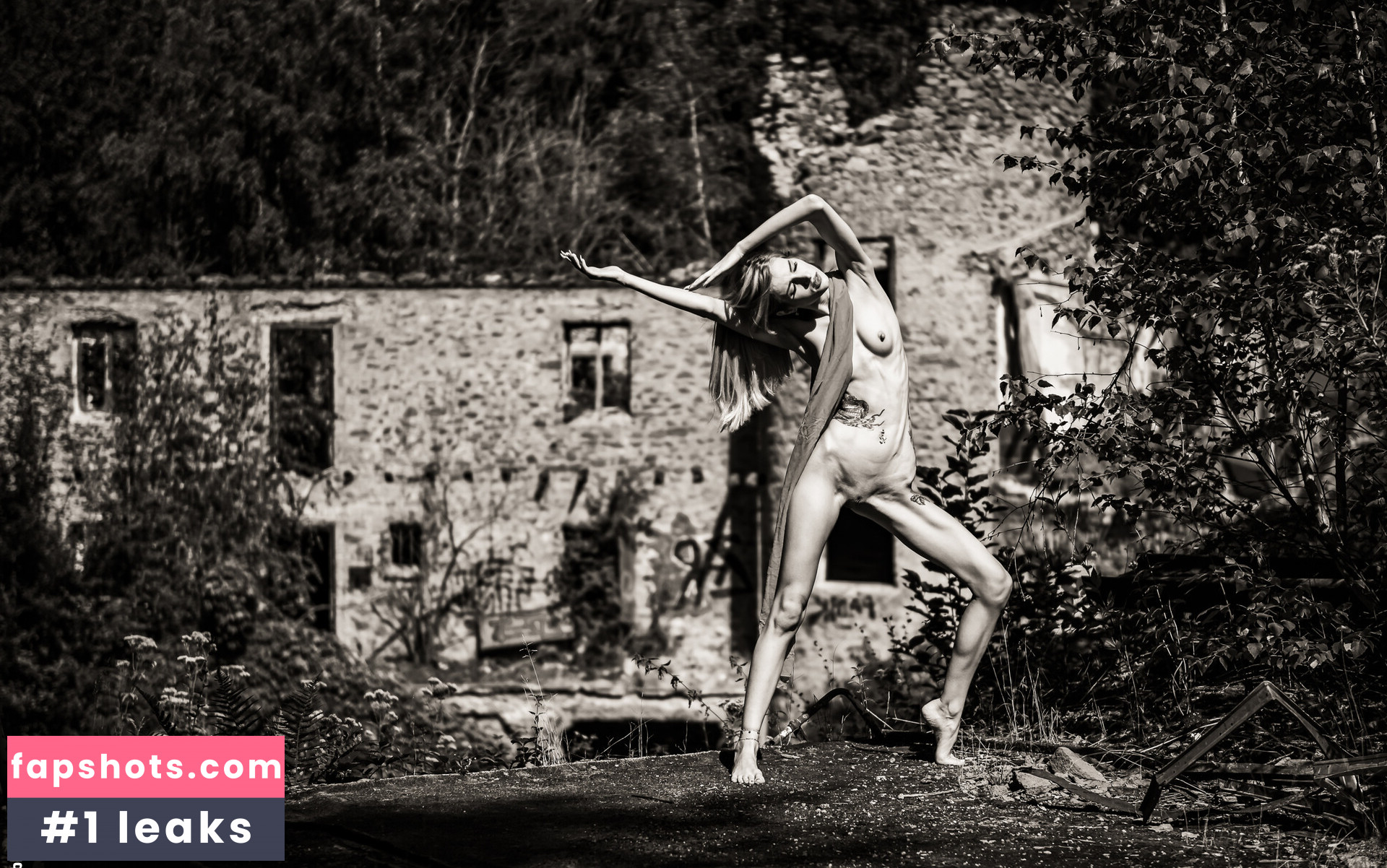 DinaCat gallery photo #4