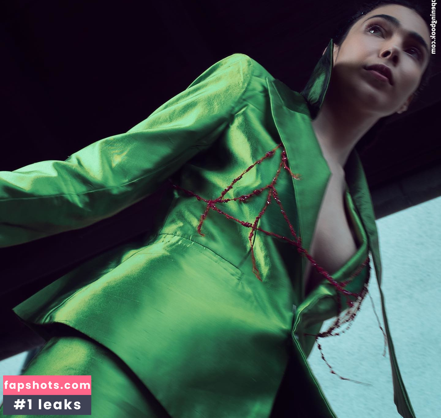 Dinkakay gallery photo #9