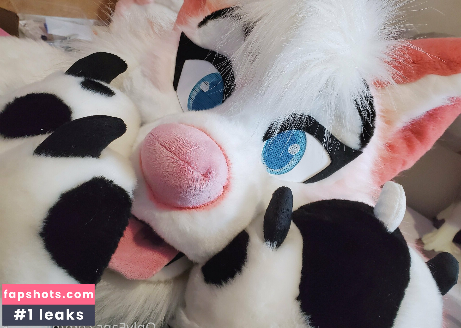 dirtydotti gallery photo #12