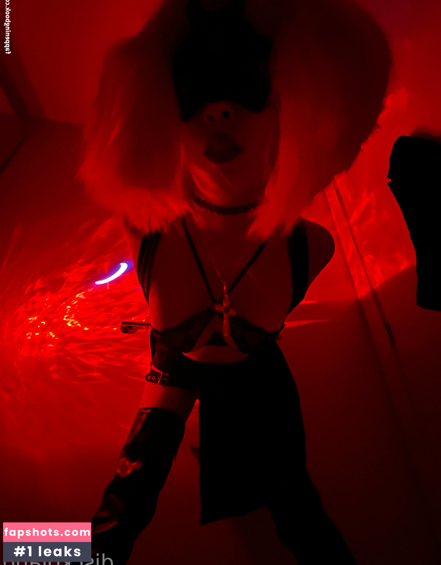 disckoland gallery photo #12