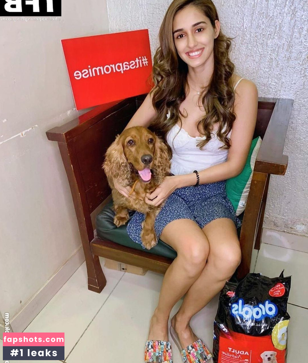 Disha Patani gallery photo #125