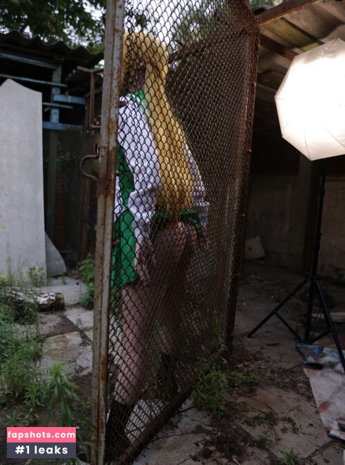 Disharmonica gallery photo #1265