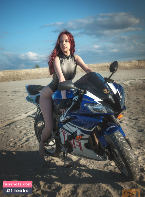 Disharmonica gallery photo #9855