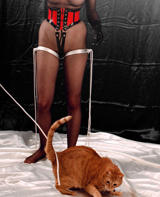 dita-von-teese gallery photo #1567