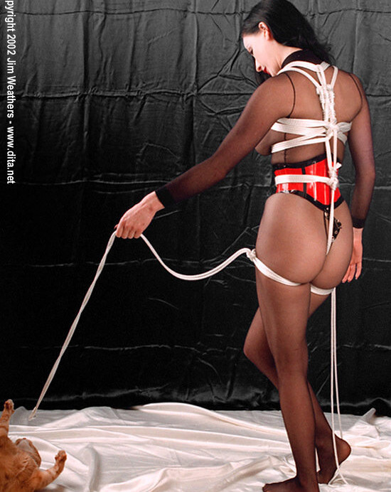 dita-von-teese gallery photo #1584