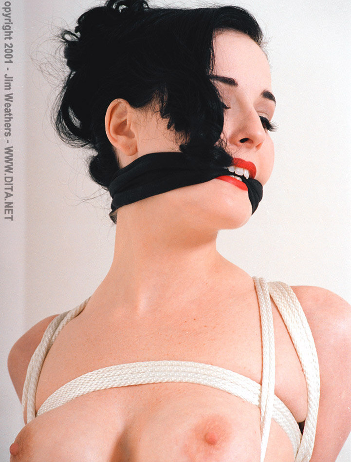 dita-von-teese gallery photo #1902