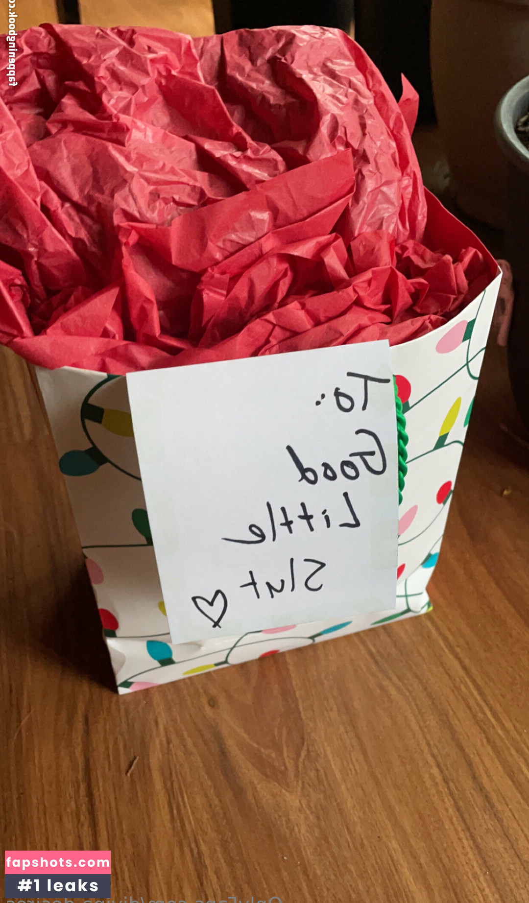 divina.desires gallery photo #13