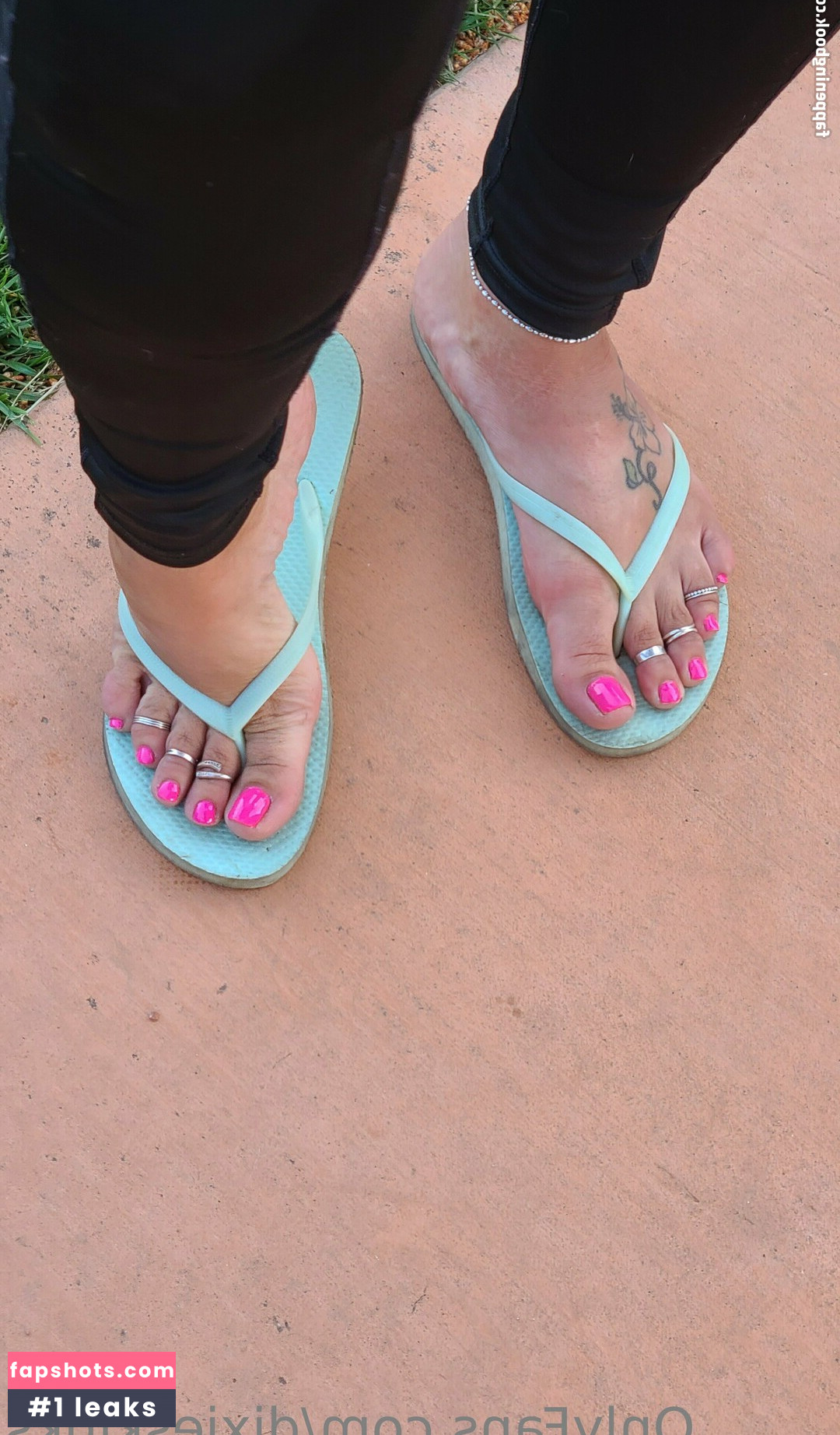 dixieskinks gallery photo #40