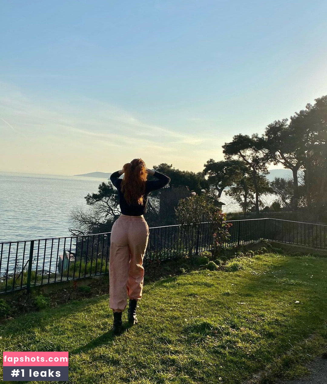 Dixowho gallery photo #13