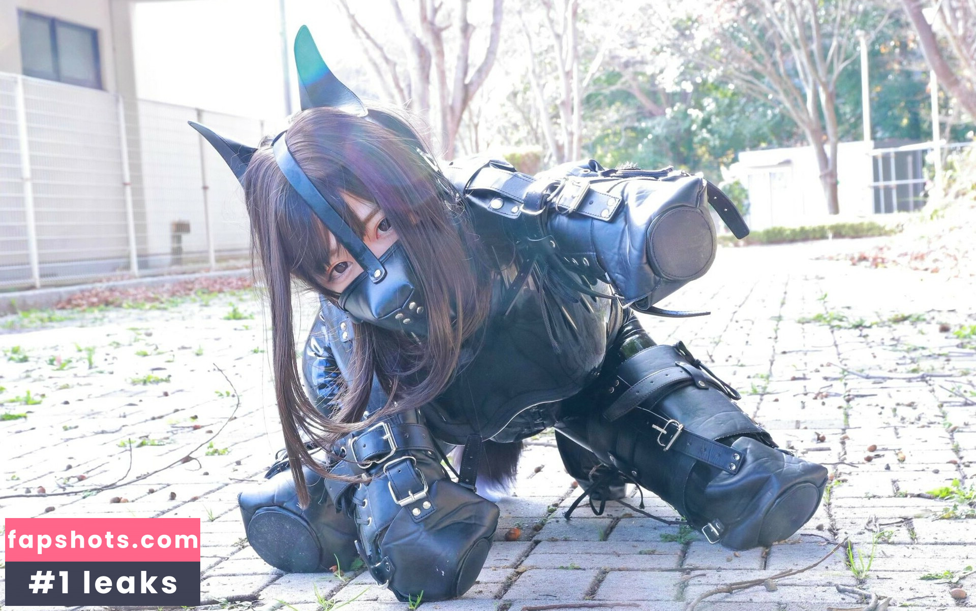 Dlemon gallery photo #18