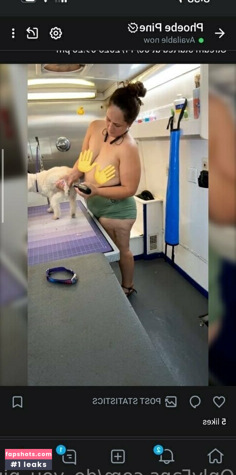 do_you_pine69 gallery photo #17