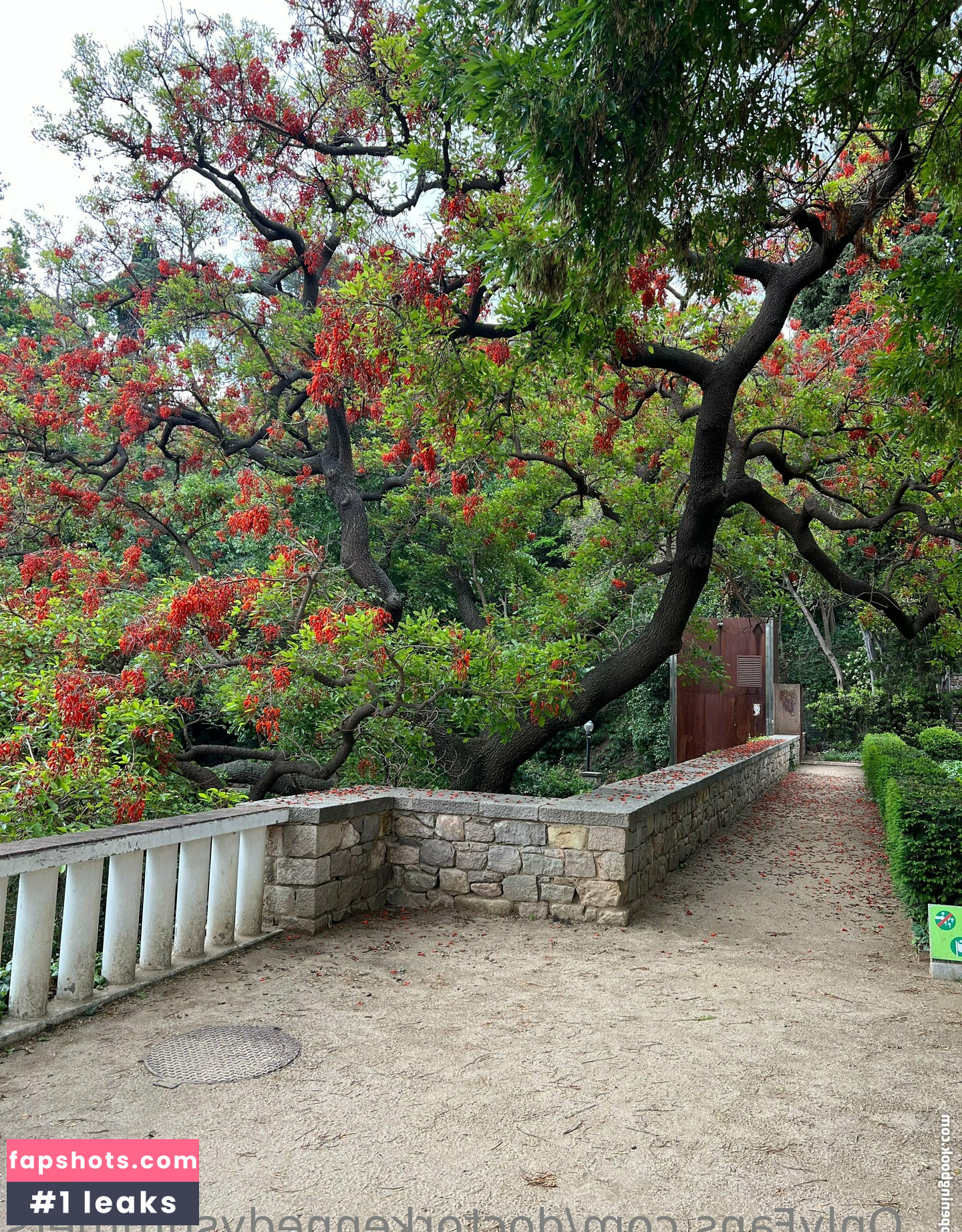 doctorkennedysummers Nude Leaks OnlyFans Photos #20 - LeakJerk