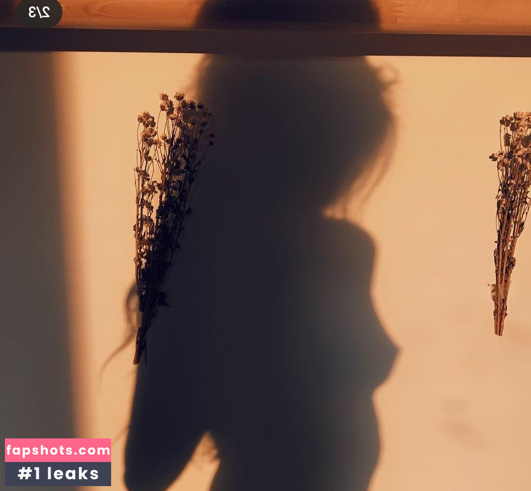 Doddleoddle gallery photo #2