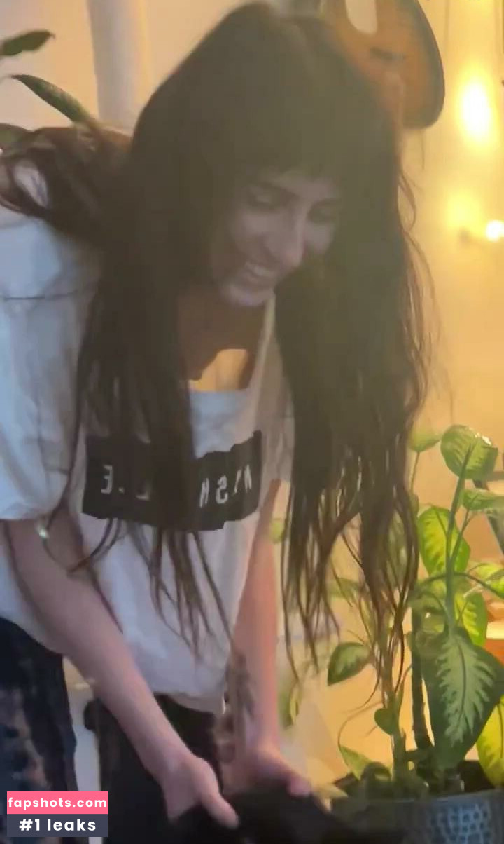 Doddleoddle gallery photo #46