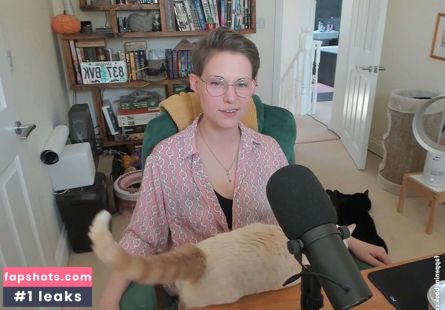 Dodger gallery photo #103